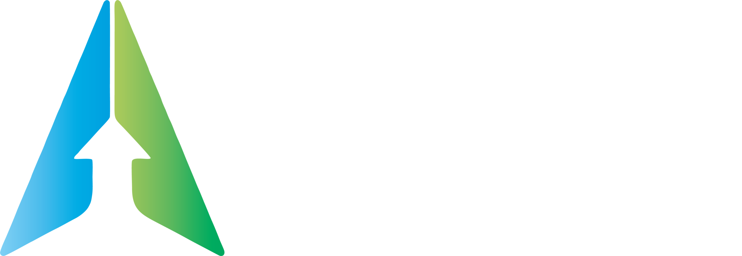 Aniva Group logo